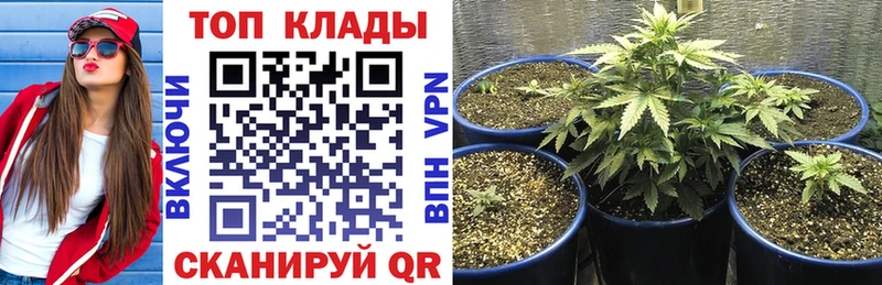 Какие есть наркотики Сызрань МАРИХУАНА COCAIN A-PVP Мефедрон АМФ Псилоцибиновые грибы ГАШ